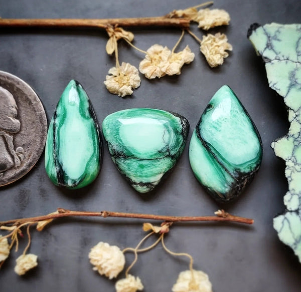 Desert Oasis Variscite Drop Trillion Set Cabochon