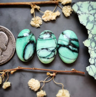Desert Oasis Variscite Oval Set Cabochon