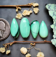 Desert Oasis Variscite Drop Oval Set Cabochon