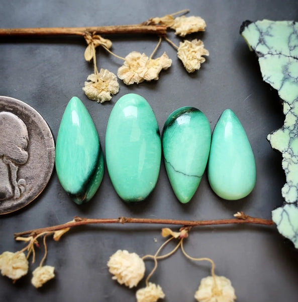 Desert Oasis Variscite Drop Oval Set Cabochon