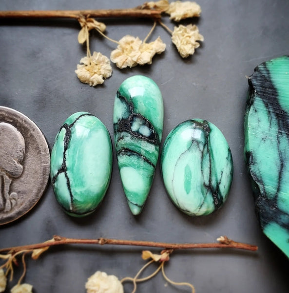 Desert Oasis Variscite Drop Oval Set Cabochon