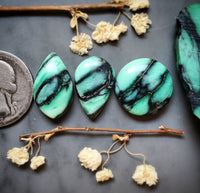 Desert Oasis Variscite Round Drop Set Cabochon
