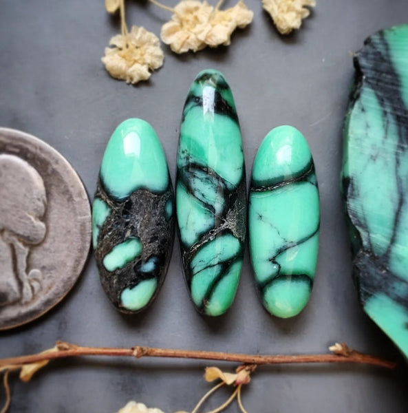 Desert Oasis Variscite Oval Set Cabochon