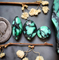 Desert Oasis Variscite Set Cabochon