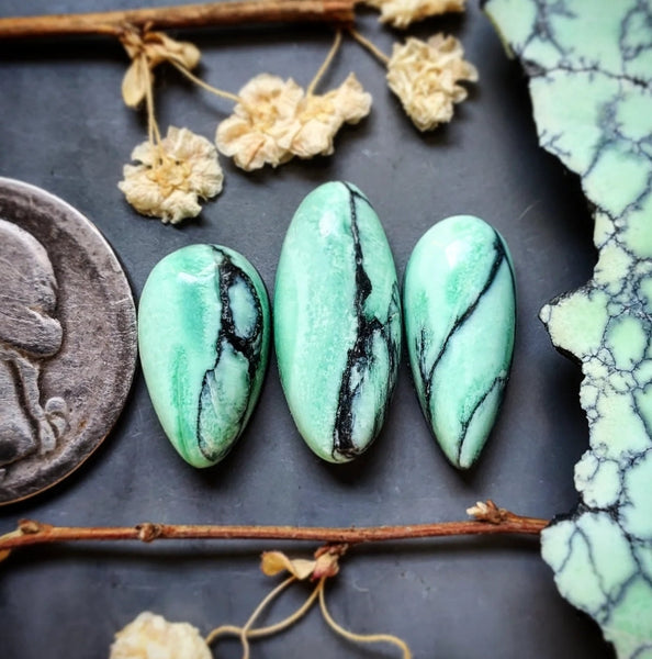 Desert Oasis Variscite Drop Oval Set Cabochon