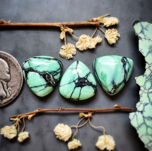 Desert Oasis Variscite Trillion Set Cabochon