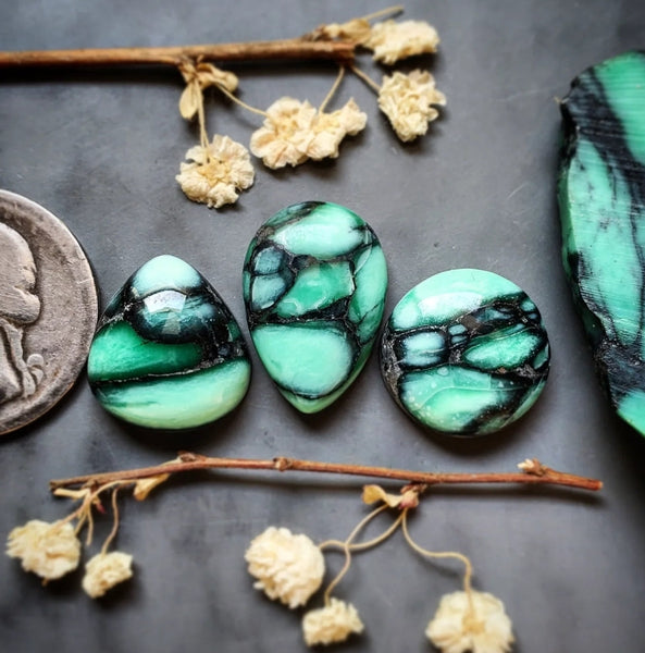 Desert Oasis Variscite Set Cabochon