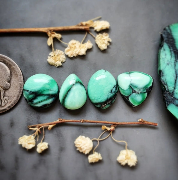 Desert Oasis Variscite Set Cabochon