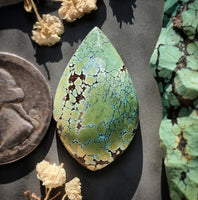 Natural Bamboo Mountain Turquoise Drop Cabochon