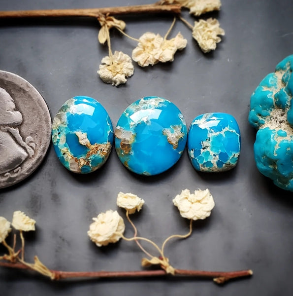 Havasu Blue Turquoise Multi Stone Set Cabochon