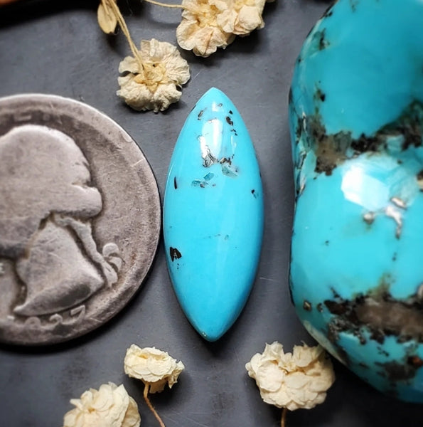 Havasu Blue Turquoise Marquise Cabochon