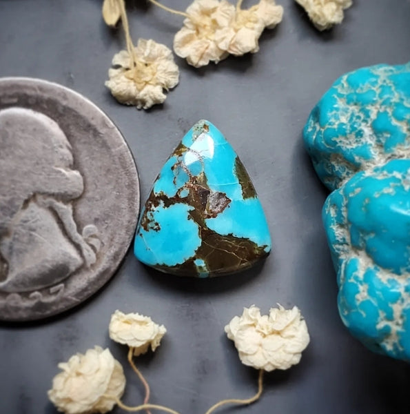 Havasu Blue Turquoise Trillion Cabochon