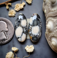Luna Lacuna Oval Earring Pair Cabochon