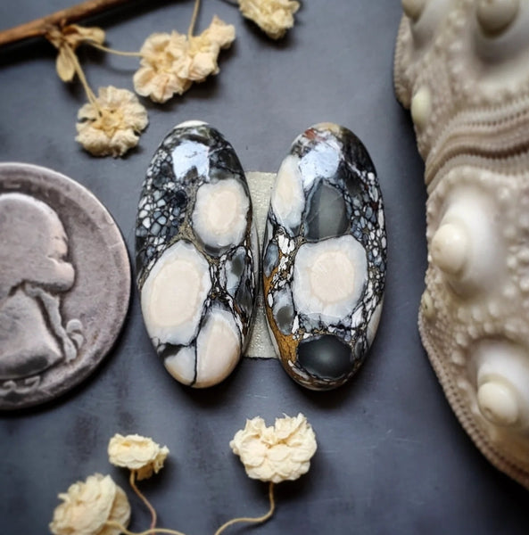 Luna Lacuna Oval Earring Pair Cabochon