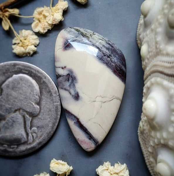 Sci-Fi Porcelain Jasper Freeform Cabochon