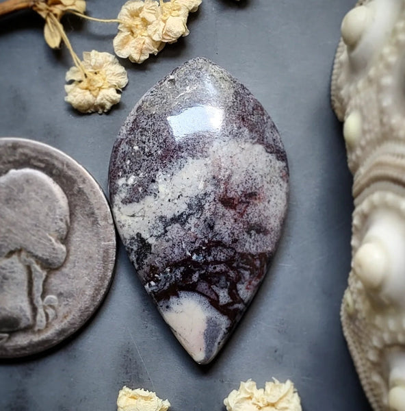 Sci-Fi Porcelain Jasper Drop Cabochon