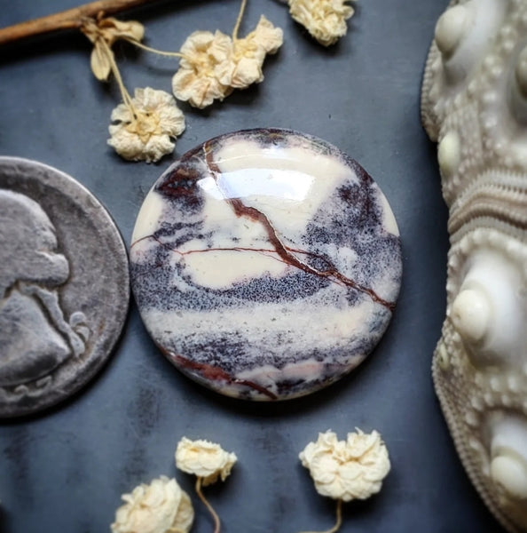 Sci-Fi Porcelain Jasper Round Cabochon