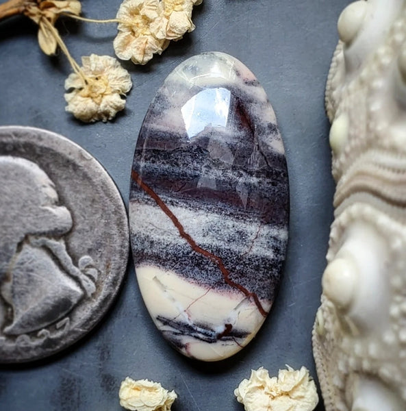 Sci-Fi Porcelain Jasper Oval Cabochon
