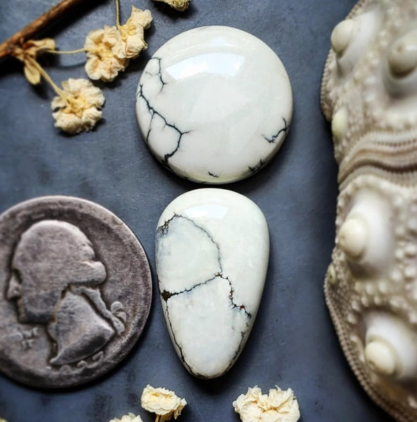 Ivory Creek Variscite Round Drop Set Cabochon