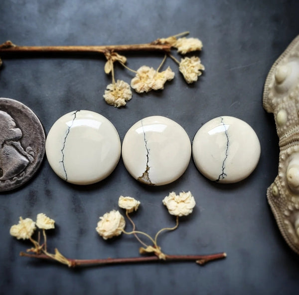 Ivory Creek Variscite Round Set Cabochon