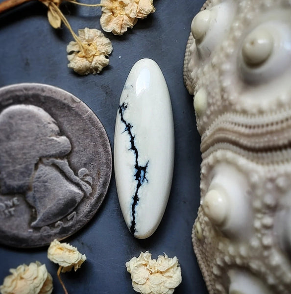 Ivory Creek Variscite Oval Cabochon