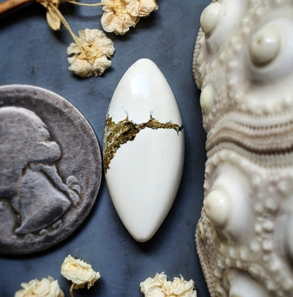 Ivory Creek Variscite Marquise Cabochon