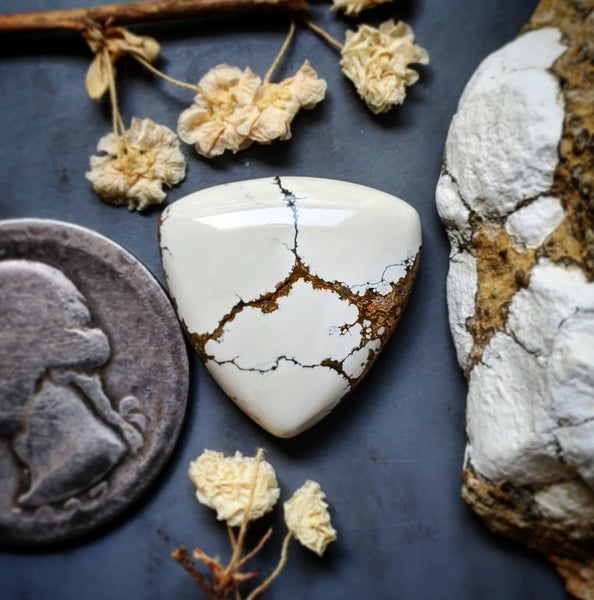 Ivory Creek Variscite Trillion Cabochon