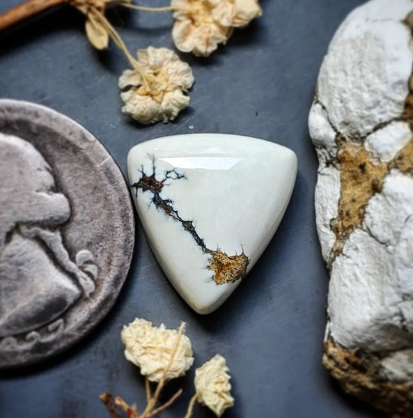 Ivory Creek Variscite Trillion Cabochon