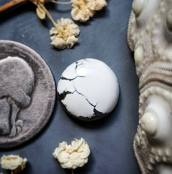 Ivory Creek Variscite Round Cabochon