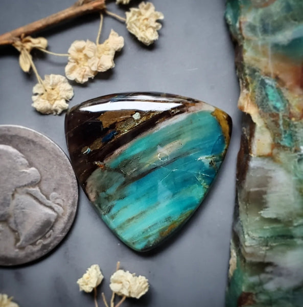 Collawood Large Trillion Cabochon