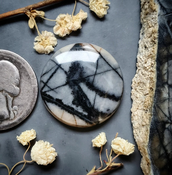 Picasso Stone Round Cabochon