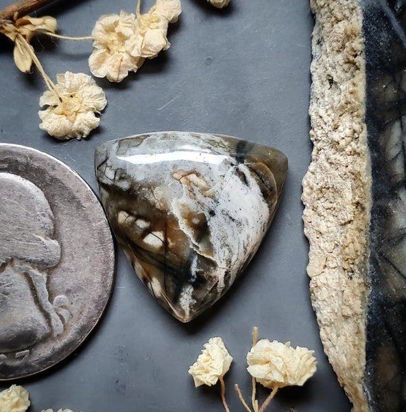 Picasso Stone Trillion Cabochon