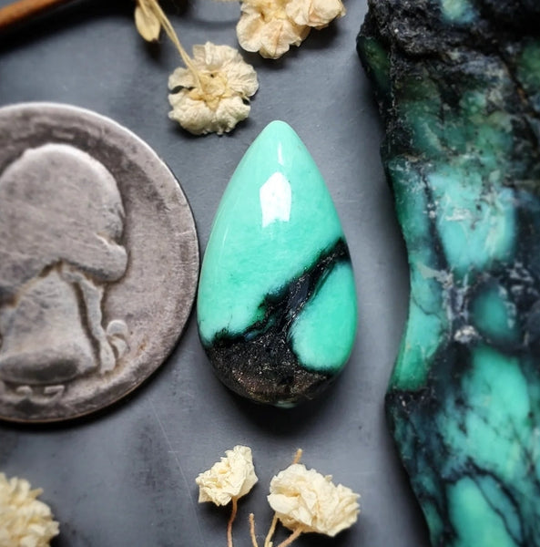 Desert Oasis Variscite Drop Cabochon