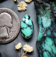 Desert Oasis Variscite Drop Cabochon