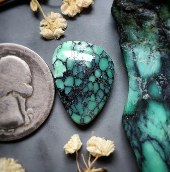 Desert Oasis Variscite Freeform Cabochon