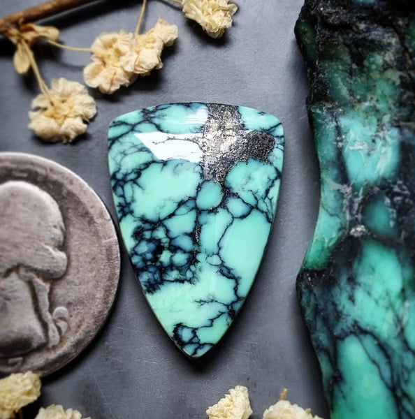 Desert Oasis Variscite Drop Cabochon