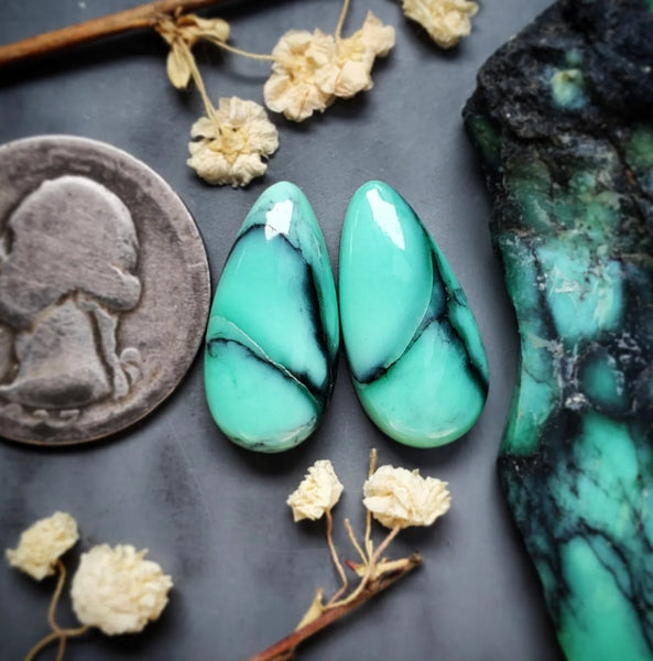 Desert Oasis Variscite Drop Set Cabochon