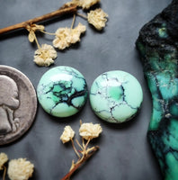 Desert Oasis Variscite Round Set Cabochon
