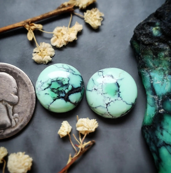 Desert Oasis Variscite Round Set Cabochon