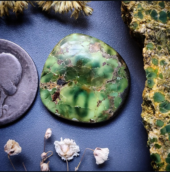 Autumn Creek Turquoise Freeform 25x25mm Cab | Turquoise Obsession