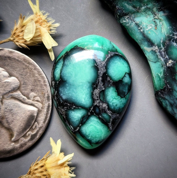 Desert Oasis Variscite Drop Cabochon