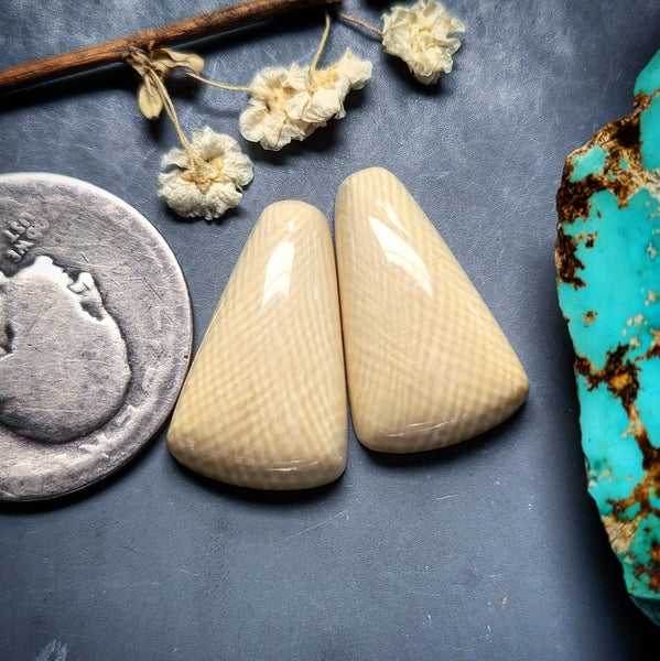 Alaskan WMT Freeform Set Cabochon