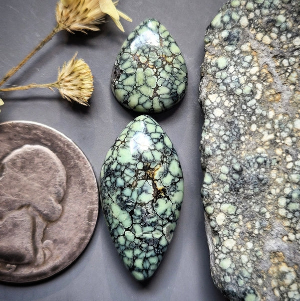 New Lander Variscite Freeform Drop Pair Cabochon