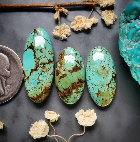 Polychrome Oval Qingu Set Cabochon