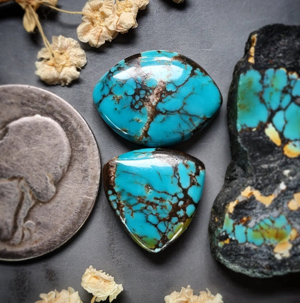 Polychrome Spiderweb Drop Trillion Qingu Set Cabochon
