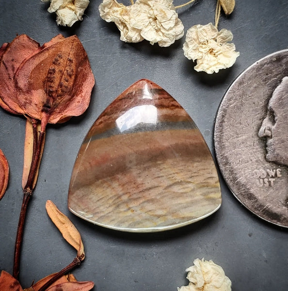 Polychrome Jasper Trillion Cabochon