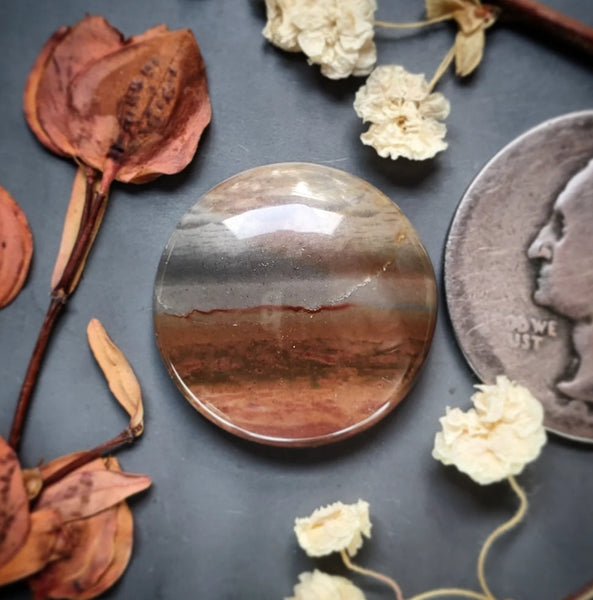 Polychrome Jasper Round Cabochon