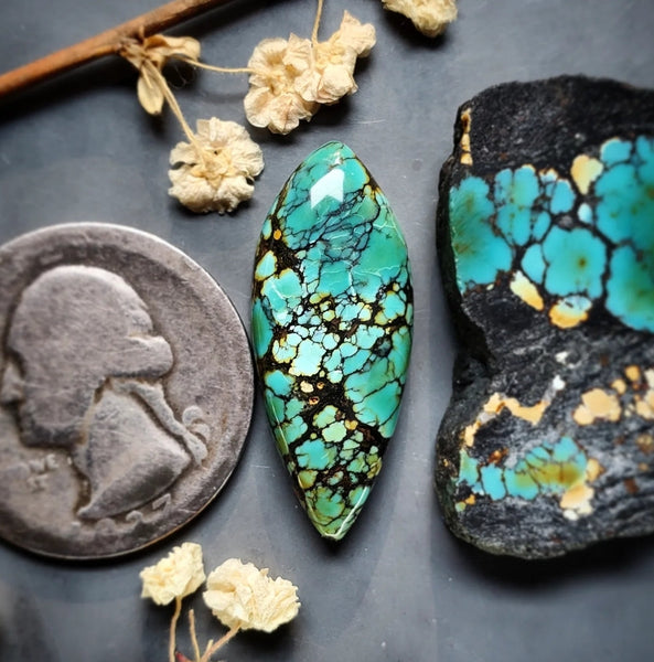 Gold Halo Qingu Turquoise Drop Cabochon