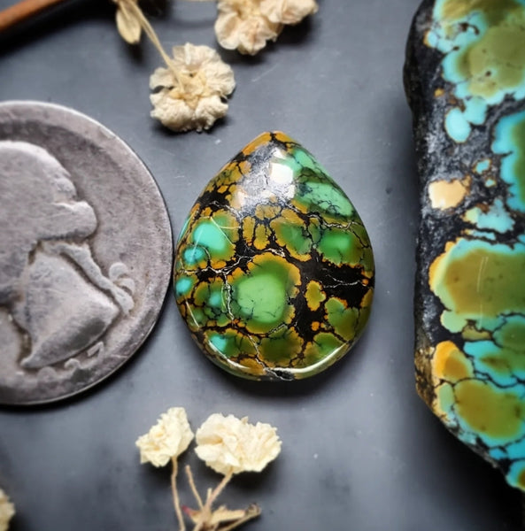 Gold Halo Qingu Turquoise Drop Cabochon
