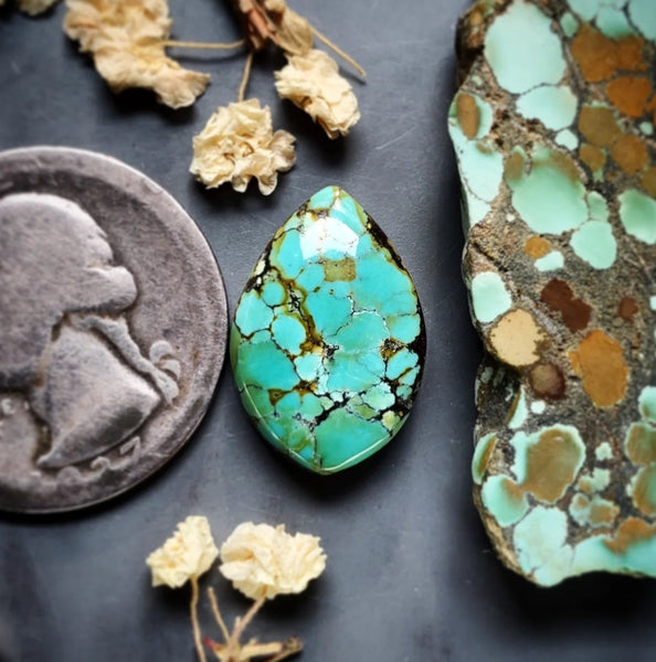 Gold Halo Qingu Turquoise Drop Cabochon